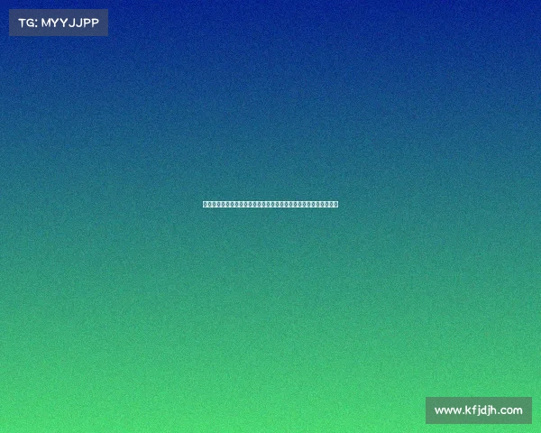 德甲豪门新风采：深度解析各大俱乐部最新赛季表现与未来发展潜力