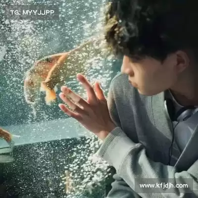 萧羚楚